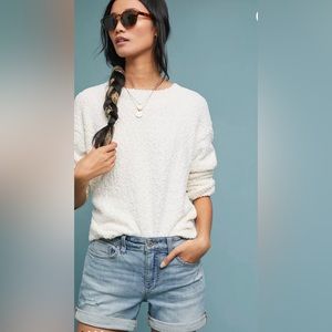 Anthropologie Pilcro & The LetterPress Slim Boyfriend Shorts.